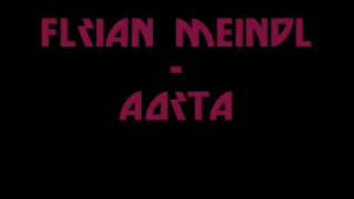 Florian Meindl - Aorta