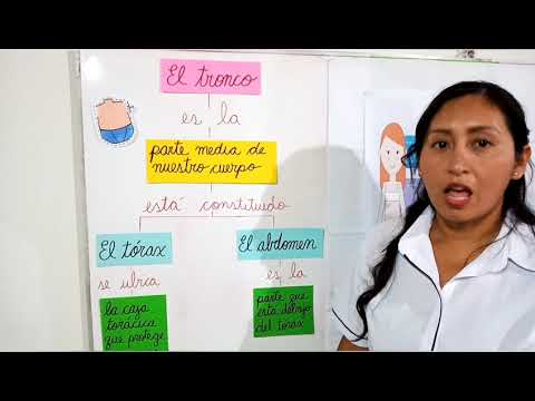 2do PRIM. CIENCIA Y TECNOLOGÍA (CABEZA,TRONCO Y EXTREMIDADES)