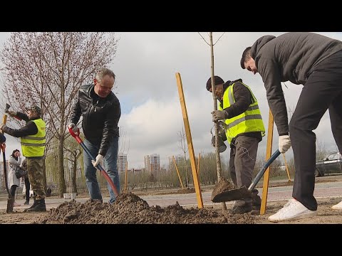 У Гомелі больш за 130 тысяч чалавек прынялі ўдзел у рэспубліканскім суботніку видео