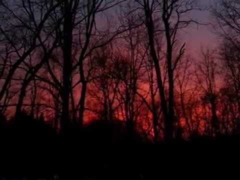 The Geraldine Fibbers- Trashman in fur