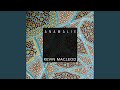 Fiddles McGinty by Kevin MacLeod