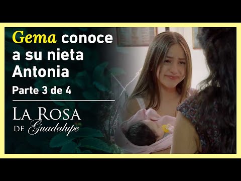 The Rose of Guadalupe Part 3/4: Dafne Becomes a Mother | The Dress of My Dreams