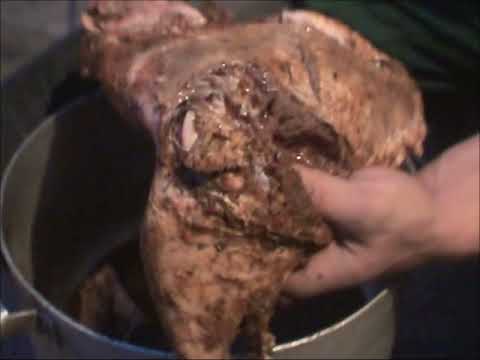 БАРАНЬЯ НОГА