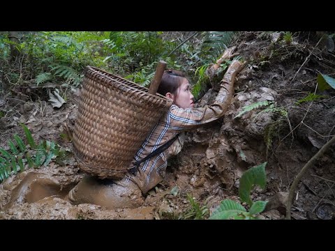 the dangers of the swamp. The girl fell into the swamp. girl alone in the fores