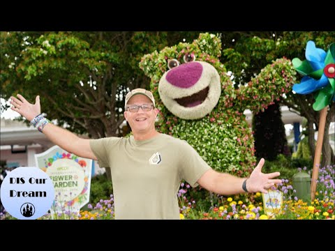 Live webcam of DIS Our Dream