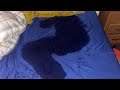 KACHABALI ENKUBA Y AKACHABALI EYEKIKUGU PART 1 AKEMBARARA
