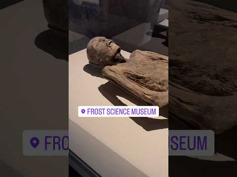 REAL MUMMIES!😲 ⚰️    #egypt #mummy