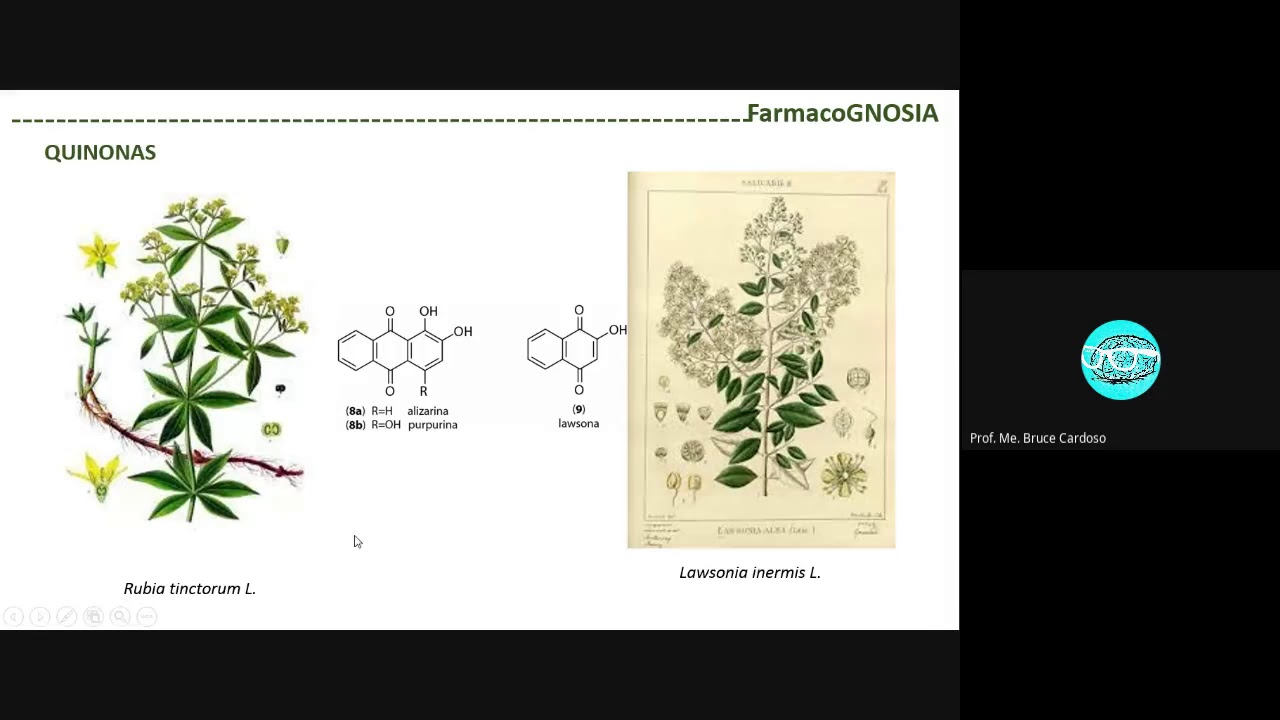 GNOSIA - Quinonas, heterosídeos e saponinas.