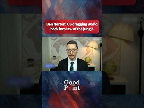 Ben Norton: US dragging world back into law of the jungle