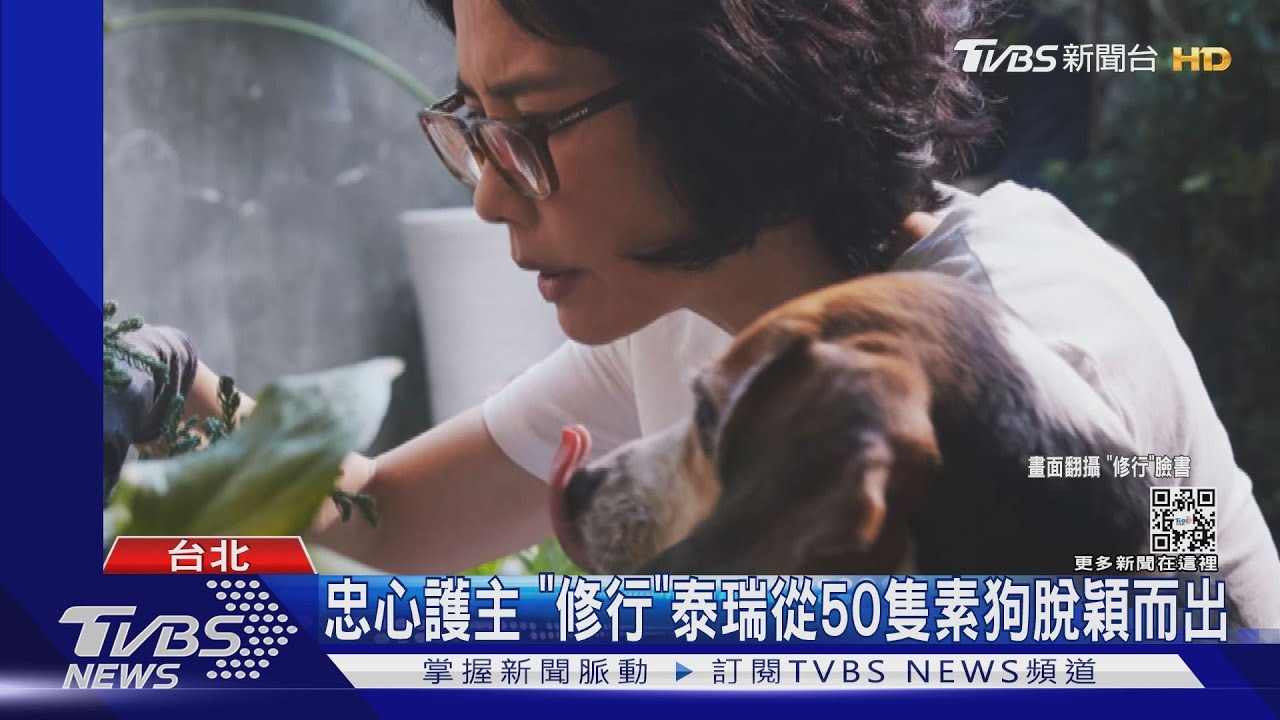 國片《修行》最萌忠犬是戲精! 陳湘琪吼陳以文反被狗吠