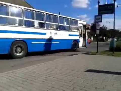 Bajai busz  videok / 9.