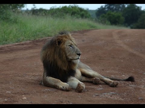 Kruger National Park 2022 - Days 1-3