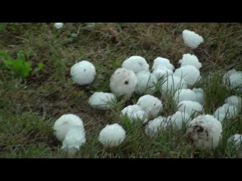 Izjemna toča v Pirničah, 25. maj 2009