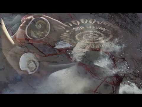 SENTIENT FILMS - Catherine Bennett Dreaming in Voodoo.