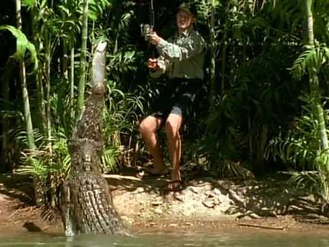 Weird Nature