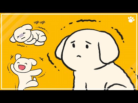 YouTube video about: How long do dogs shiver after bath?