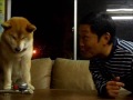 Dogfriend (SirIndy) - Známka: 4, váha: malá