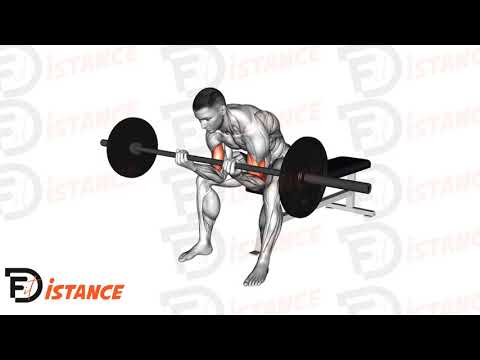 Exercice Curl de concentration assis avec barre et prise serrée