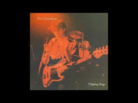 The Chameleons - Tripping Dogs (Full LP)