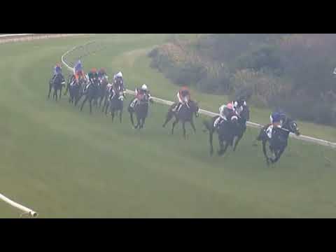 GOLDEN DUCAT - ARF Commemorative Cape Derby (Gr1)