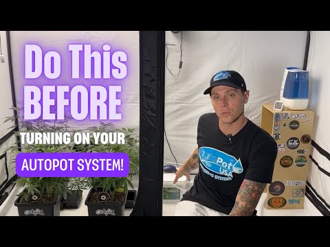 Flowering in AutoPot - Tips For Turning on Your System!