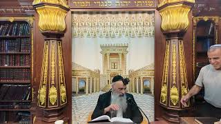 הרב מאיר דוד שמואלי שליט"א - הלכות שבת שולחן ערוך סימן רע"א