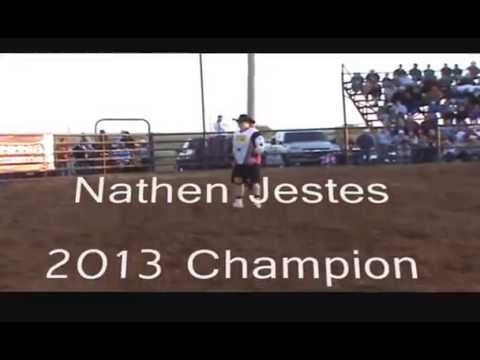 Dreamlivin-Bullfighters! Chuck, Tuck, Harp, Jestes, & D