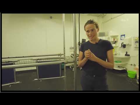 Francesca Cumani Explains the Difference between fractures and Breaks in a horse's legs.