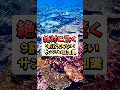 サンゴ礁はすぐには回復しない