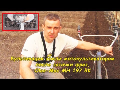 , title : 'Культивация земли мотоблоком (после заточки фрез Oleo-Mac MH 197 RK)'