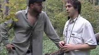 BIG DUMB ANIMAL (Finch Witch)