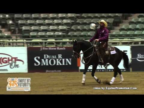 Over A Barrell ridden by Darrel J. Norcutt  - 2015 Snaffle Bit Futurity (Open Hackamore Finals)