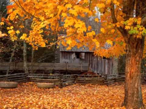 Ana Caram - Overjoyed (With Lyrics)