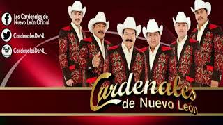 Pa que nos dejan solos - Los Cardenales de Nuevo Leon