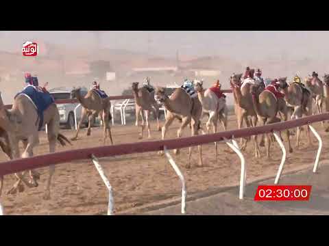 8 alsaad