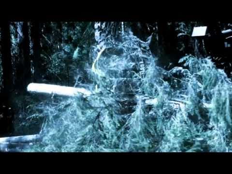 Välkommen till Holmen Skog