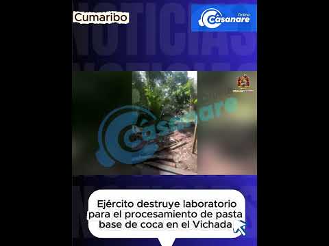 Ejército destruyó mega laboratorio de procesamiento de pasta base de coca en Cumaribo, Vichada.