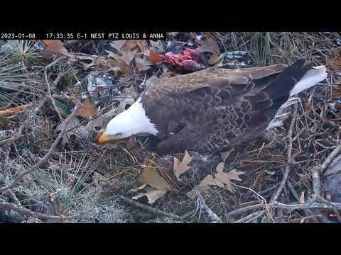 Kisatchie National Forest E-1 08.01.2023 17:28