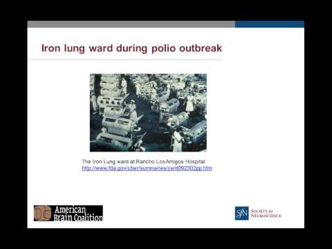Flies, Fish, and Other Animal Models:  What they reveal about brain diseases and disorders