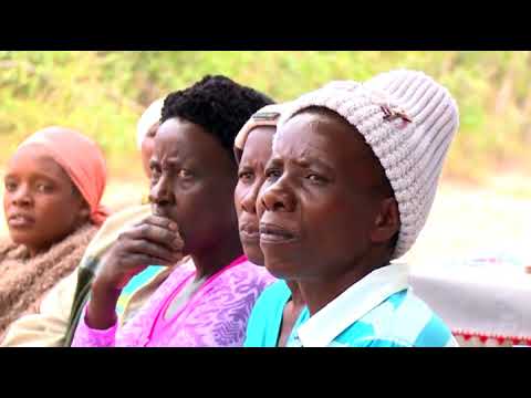 bTV Репортерите: Зимбабве: По пътя на промените