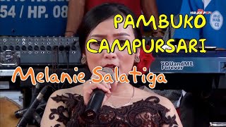 Download lagu Pambuko Campusari - Melanie Salatiga mp3