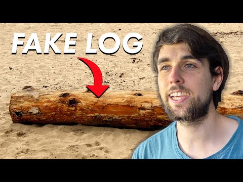 Driftwood Expert Explains How to Identify Driftwood