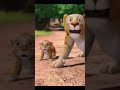 Delhi Safari