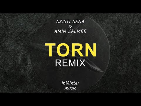 Cristi Sena & Amin Salmee - Torn (inWinter Remix)