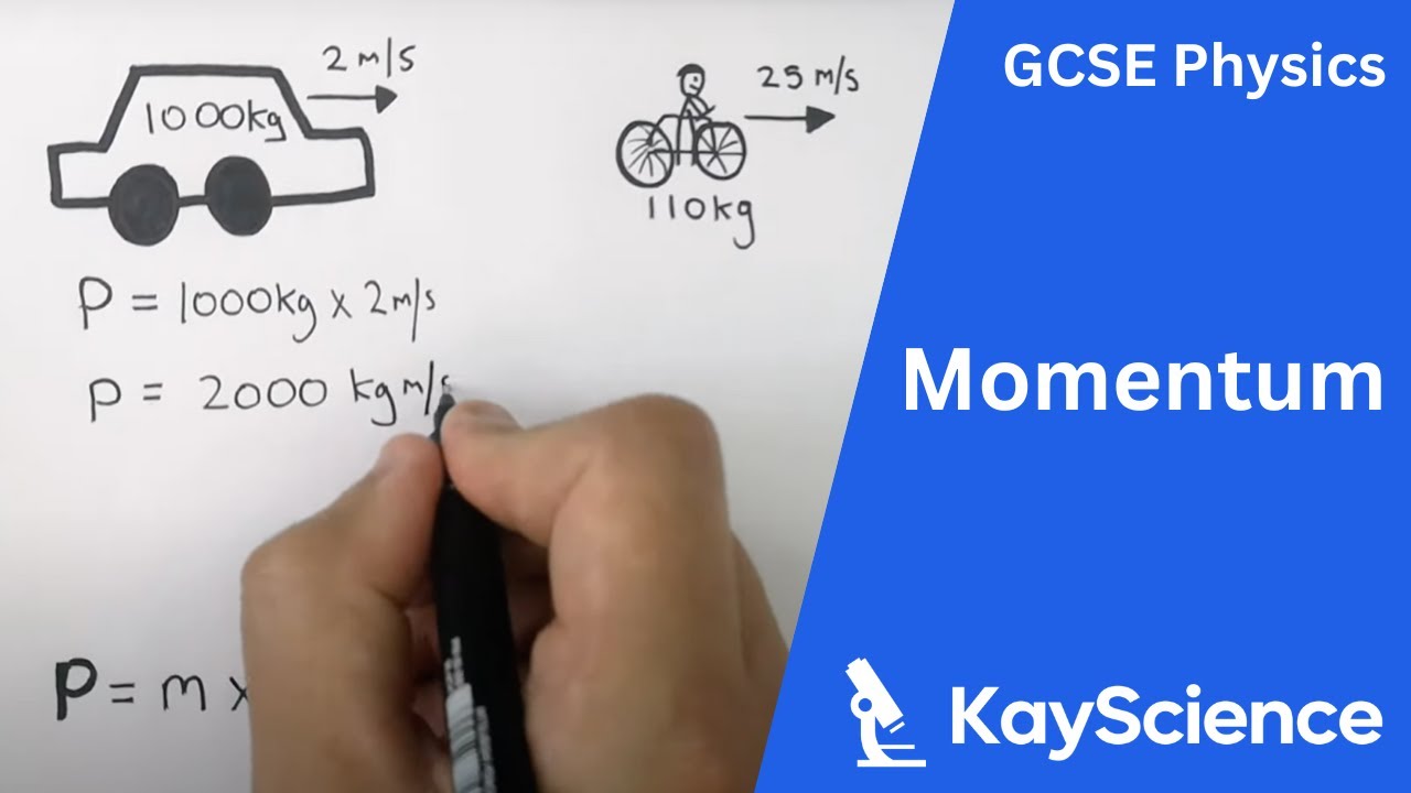 GCSE Physics – Calculating Momentum (p = m × v)