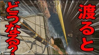 【Apex Legends】このジップライン、渡るとどうなる？【実況】#12
