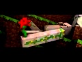 Diamond heart : A minecraft parody. 