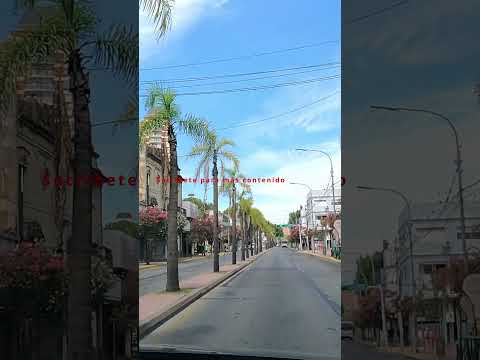 Un minuto por Avenida Cazón 🚦 | Tigre