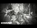Vince Vaccaro, Silence In The Tree's 