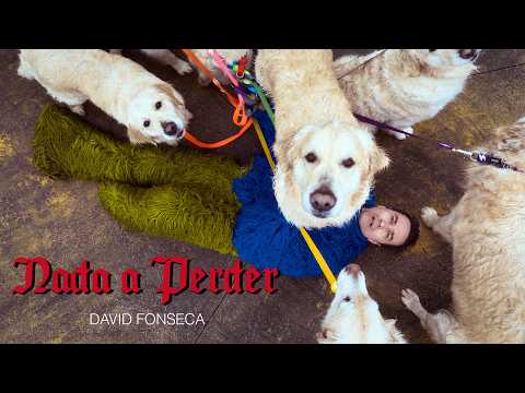 "Nada a Perder" - David Fonseca